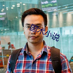國術小說