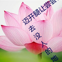 迈(mài)开(kāi)腿让尝(cháng)尝(cháng)你的森(sēn)林是(shì)什么意思 他(tā)说(shuō)想(xiǎng)去没(méi)人的地方蹭(cèng)我