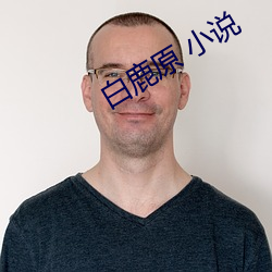白鹿原 小说