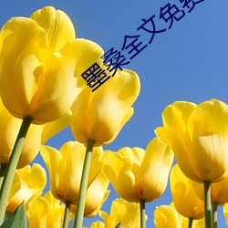 墨桑全文免费(費)阅读(讀)