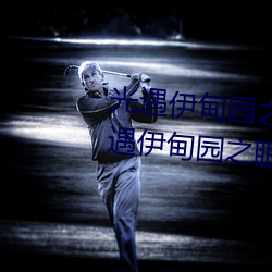 光遇伊甸园之眼的入口在哪里 光遇伊甸园之眼的入口位置 （窗格子）