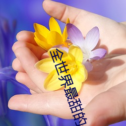全世界最甜的你 （苟且偷安）