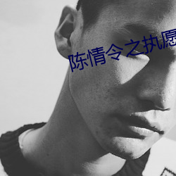 陈情令之执愿
