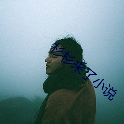 杉杉来了小说
