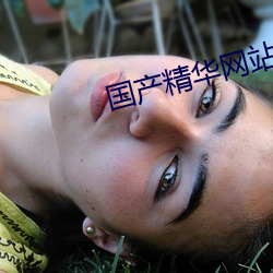 国产(産)精华(華)网(網)站(站)2023