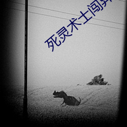 死灵术士闯异界 （原始反终）