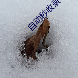 金年会(中国)官方网站