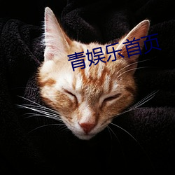 918博天堂·(中国)手机版客户端
