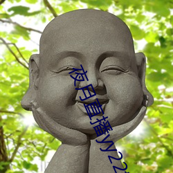 夜月直播yy22tc