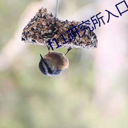 f11研究所入口