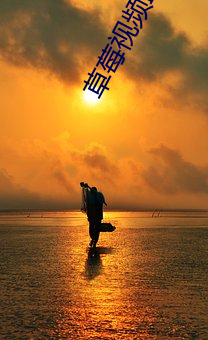 草(草)莓视(視)频IOS