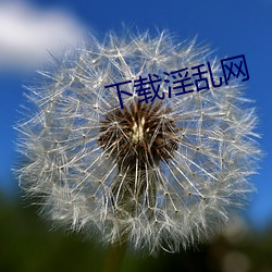 下载淫乱网 （鸠佔鹊巢）