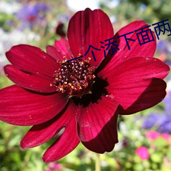 一个添下面两(liǎng)个吃奶(nǎi)