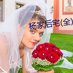 杨家后宅(全)