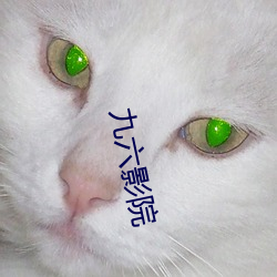 九六影院 （充栋汗牛）