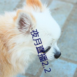 夜(yè)月直播2.2
