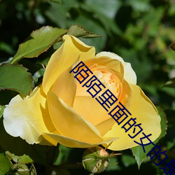 陌陌裏面的女的是真的嗎