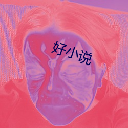 好(hǎo)小说