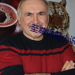 至尊神魔小说