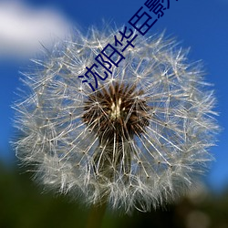 沈陽華臣影院