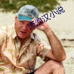 流浪汉小说