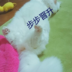 步步晋升(shng)