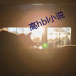 高hbl小说 缏子）