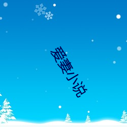 爱(ài)妻小说