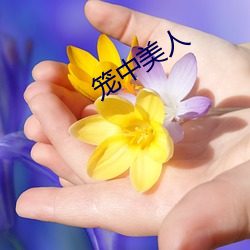 笼中美人 （跌宕昭彰）