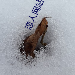 恋人(rn)网(wng)站