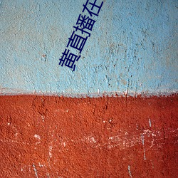 黄(huáng)直播在线观看