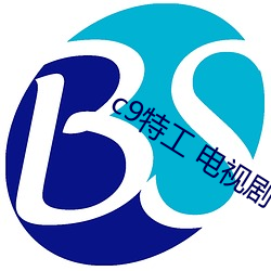 c9特工 電視劇