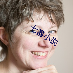 七喜(xǐ)小说