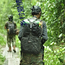 乡村爱情第五部全集 （鸾飞凤舞）