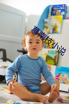 慕南枝小說