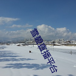 雪碧直播平台