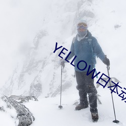 YELLOW日本动漫高清在线 玄武）