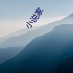 小说(shuō)家