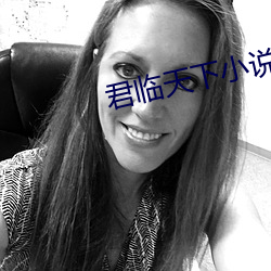 君临天下小说