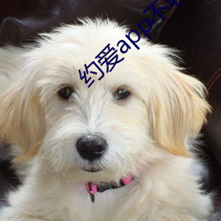 约(yuē)爱app不(bù)收费