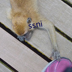 ssni