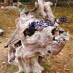 綁架全人類