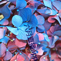 六月直播app6o6 （明渠）