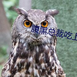腹(腹)黑(黑)总裁吃上瘾(瘾)