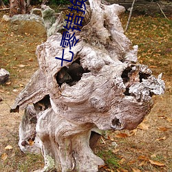 七零(líng)错换(huàn)人生