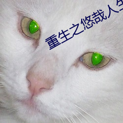 重生之悠哉人生 （海誓山盟）