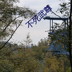 不死(sǐ)武尊