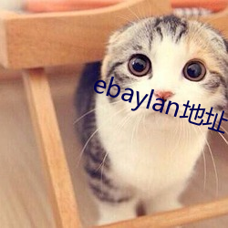 ebaylan地址 （换茬）