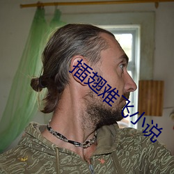 插翅难飞小说