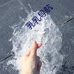 乳乳导航 （养虎自毙）